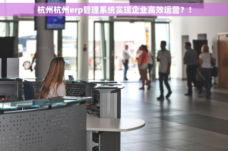 杭州杭州erp管理系统实现企业高效运营？！