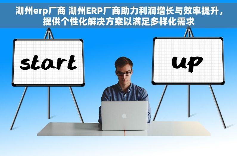 湖州erp厂商 湖州ERP厂商助力利润增长与效率提升，提供个性化解决方案以满足多样化需求