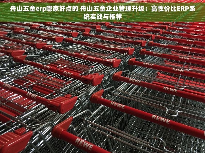 舟山五金erp哪家好点的 舟山五金企业管理升级：高性价比ERP系统实战与推荐