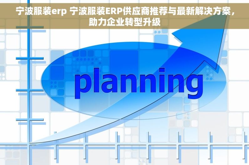 宁波服装erp 宁波服装ERP供应商推荐与最新解决方案，助力企业转型升级