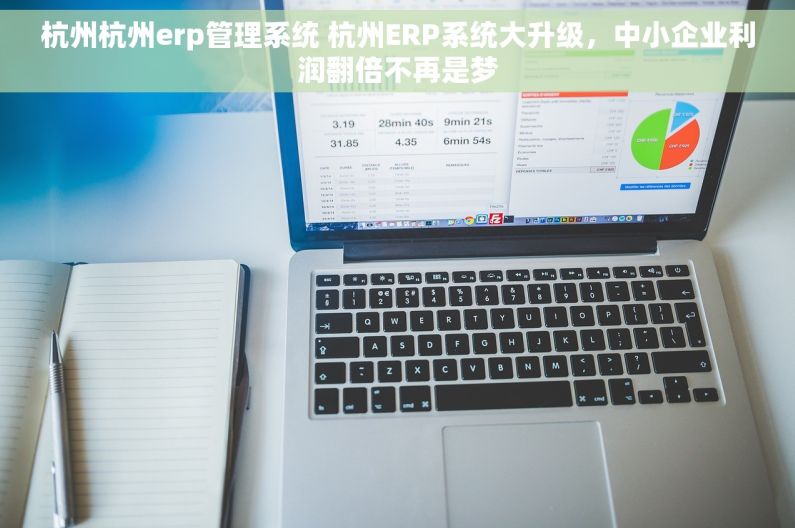 杭州杭州erp管理系统 杭州ERP系统大升级，中小企业利润翻倍不再是梦