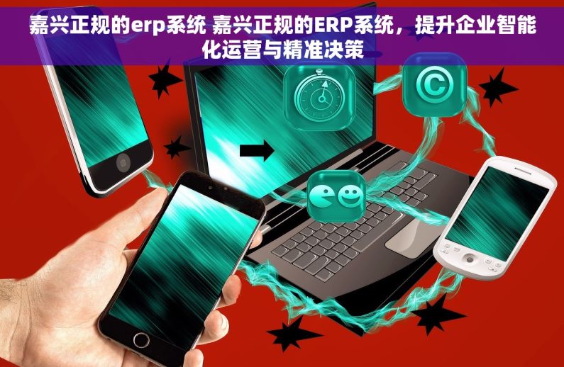 嘉兴正规的erp系统 嘉兴正规的ERP系统，提升企业智能化运营与精准决策