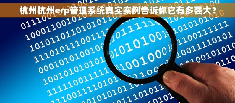 杭州杭州erp管理系统真实案例告诉你它有多强大？