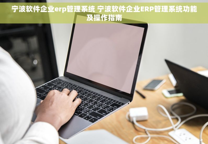 宁波软件企业erp管理系统 宁波软件企业ERP管理系统功能及操作指南