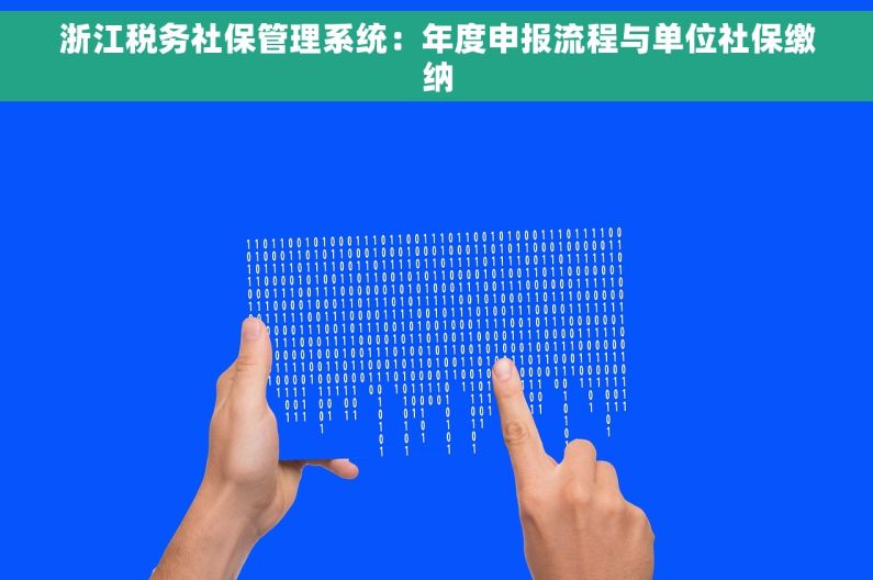 浙江税务社保管理系统：年度申报流程与单位社保缴纳