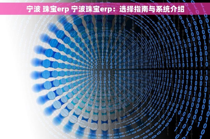 宁波 珠宝erp 宁波珠宝erp：选择指南与系统介绍
