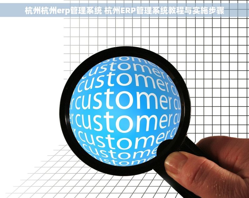 杭州杭州erp管理系统 杭州ERP管理系统教程与实施步骤