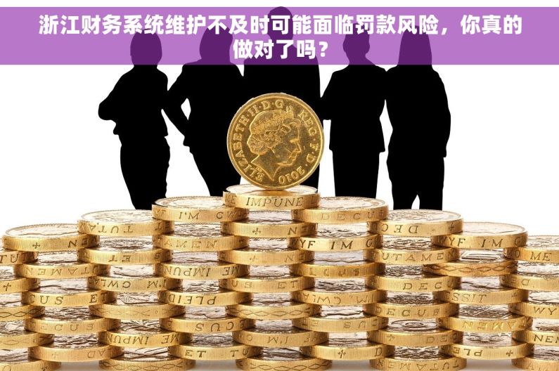 浙江财务系统维护不及时可能面临罚款风险，你真的做对了吗？