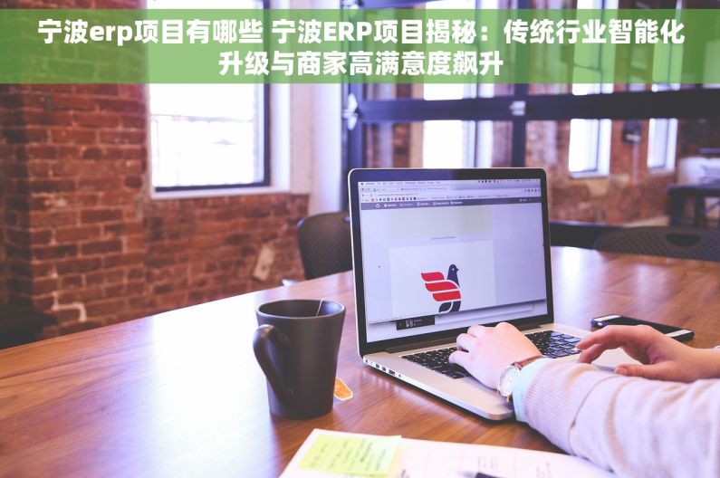 宁波erp项目有哪些 宁波ERP项目揭秘：传统行业智能化升级与商家高满意度飙升