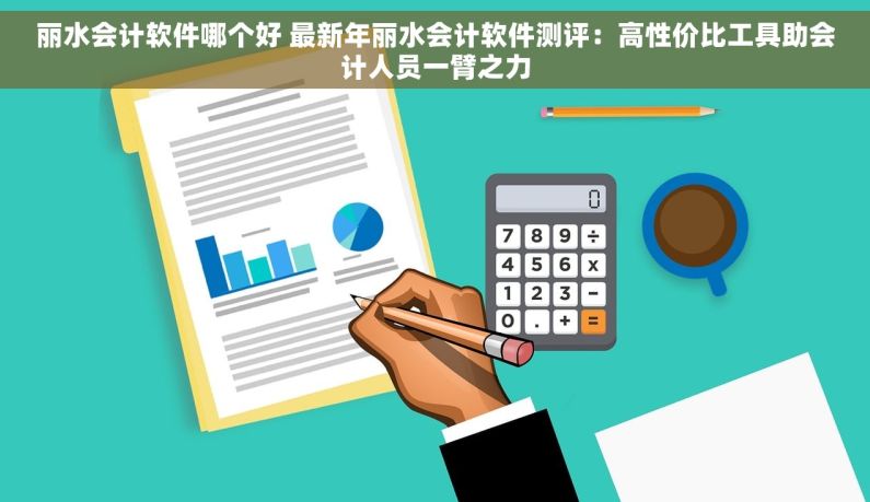 丽水会计软件哪个好 最新年丽水会计软件测评：高性价比工具助会计人员一臂之力