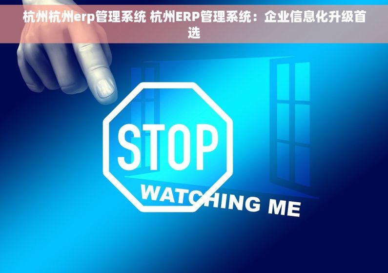 杭州杭州erp管理系统 杭州ERP管理系统：企业信息化升级首选