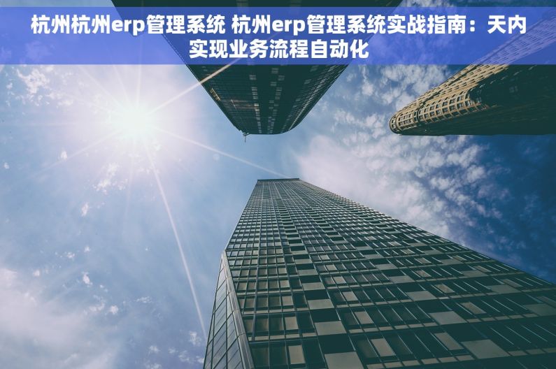 杭州杭州erp管理系统 杭州erp管理系统实战指南：天内实现业务流程自动化