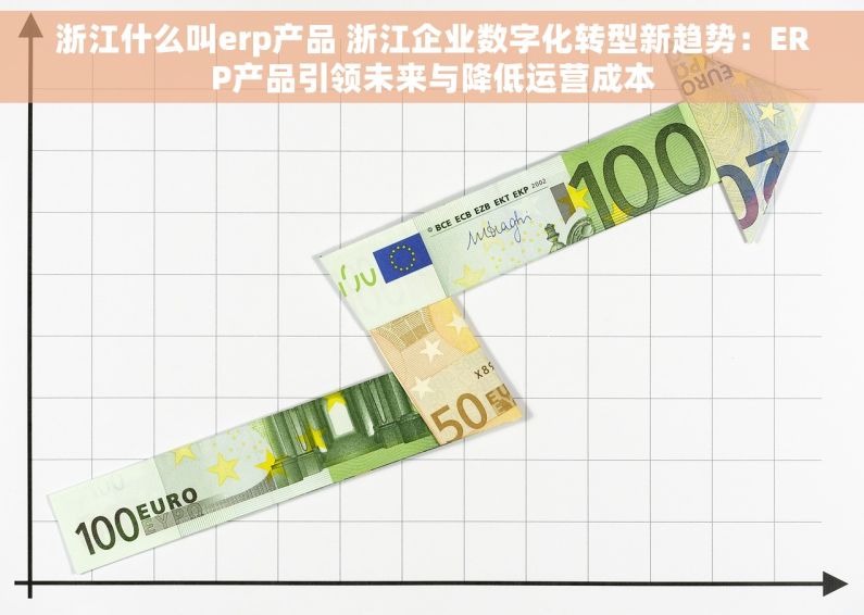 浙江什么叫erp产品 浙江企业数字化转型新趋势：ERP产品引领未来与降低运营成本
