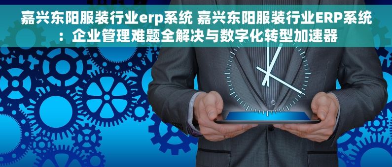 嘉兴东阳服装行业erp系统 嘉兴东阳服装行业ERP系统：企业管理难题全解决与数字化转型加速器