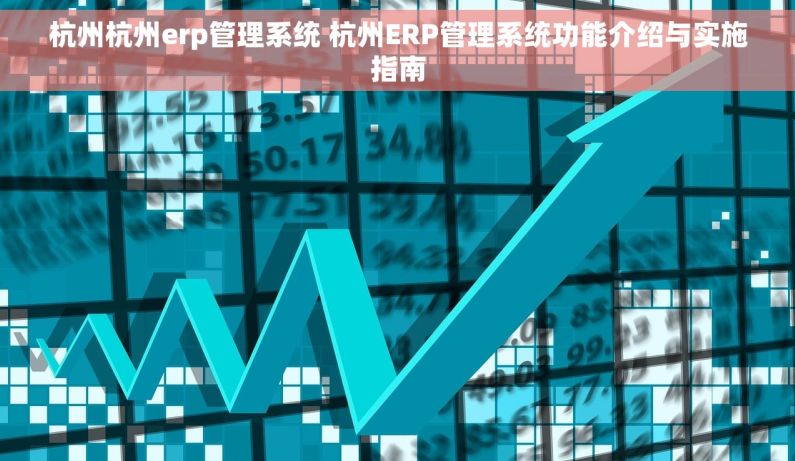 杭州杭州erp管理系统 杭州ERP管理系统功能介绍与实施指南