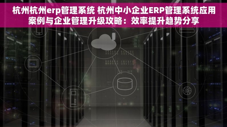 杭州杭州erp管理系统 杭州中小企业ERP管理系统应用案例与企业管理升级攻略：效率提升趋势分享