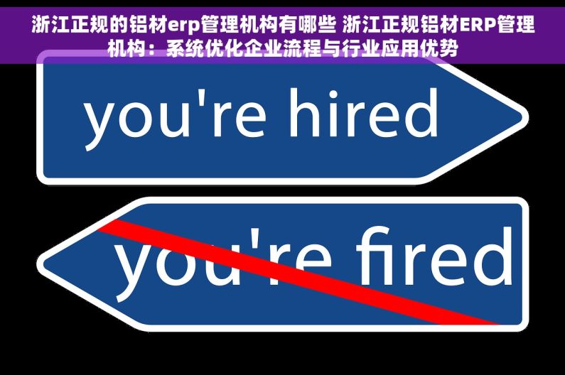 浙江正规的铝材erp管理机构有哪些 浙江正规铝材ERP管理机构：系统优化企业流程与行业应用优势