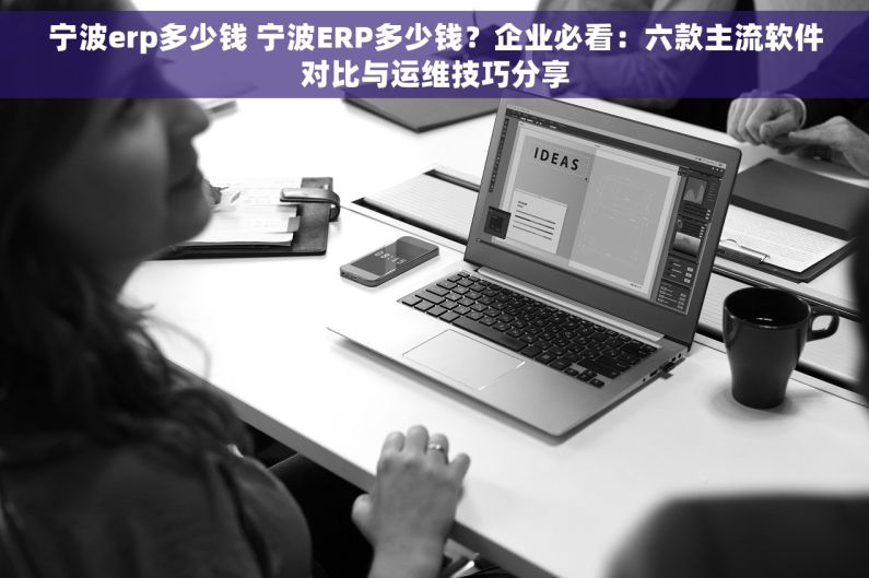 宁波erp多少钱 宁波ERP多少钱？企业必看：六款主流软件对比与运维技巧分享