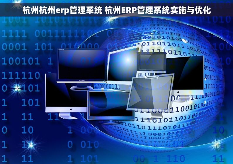 杭州杭州erp管理系统 杭州ERP管理系统实施与优化