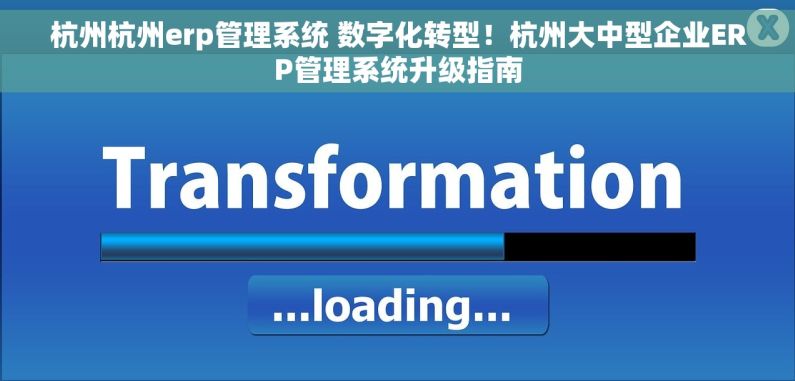 杭州杭州erp管理系统 数字化转型！杭州大中型企业ERP管理系统升级指南