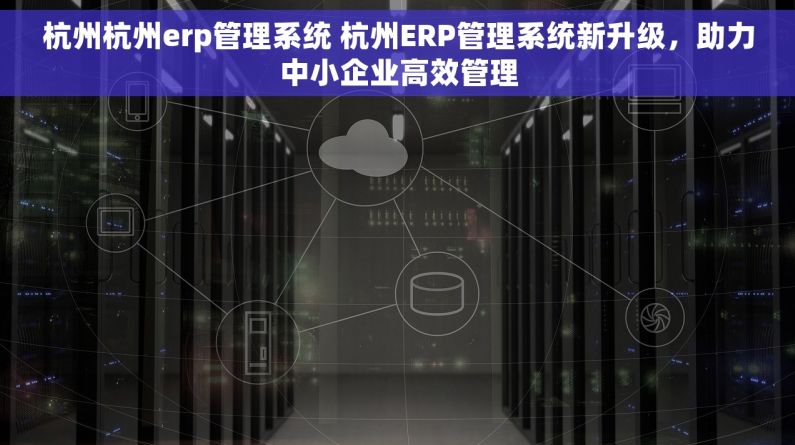 杭州杭州erp管理系统 杭州ERP管理系统新升级，助力中小企业高效管理