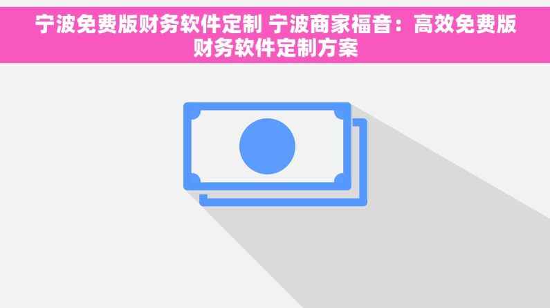 宁波免费版财务软件定制 宁波商家福音：高效免费版财务软件定制方案