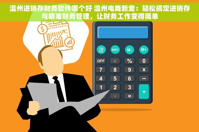 温州进销存财务软件哪个好 温州电商新宠：轻松搞定进销存与精准财务管理，让财务工作变得简单