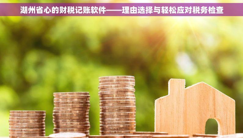 湖州省心的财税记账软件——理由选择与轻松应对税务检查