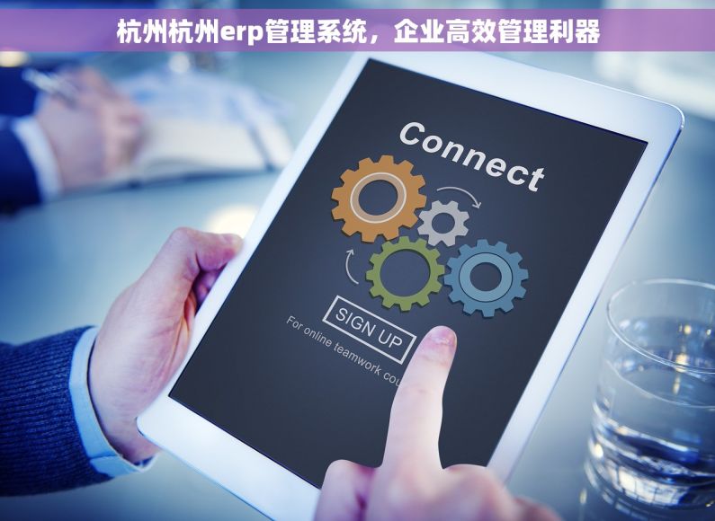 杭州杭州erp管理系统，企业高效管理利器
