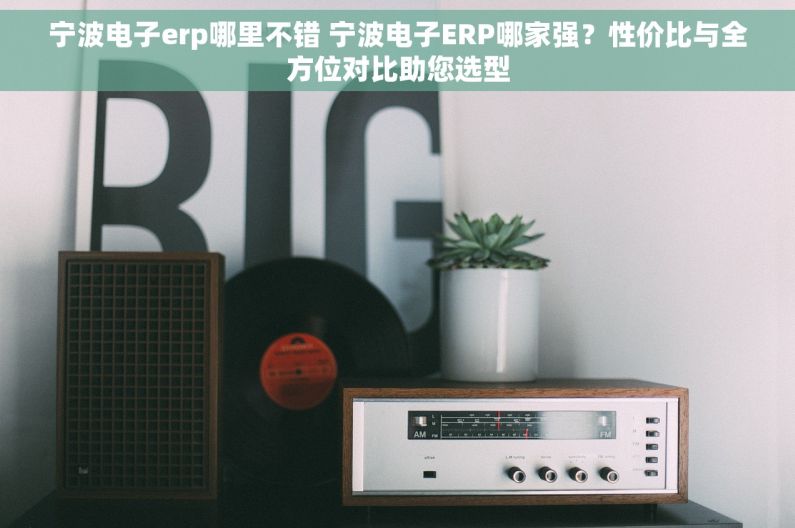 宁波电子erp哪里不错 宁波电子ERP哪家强？性价比与全方位对比助您选型