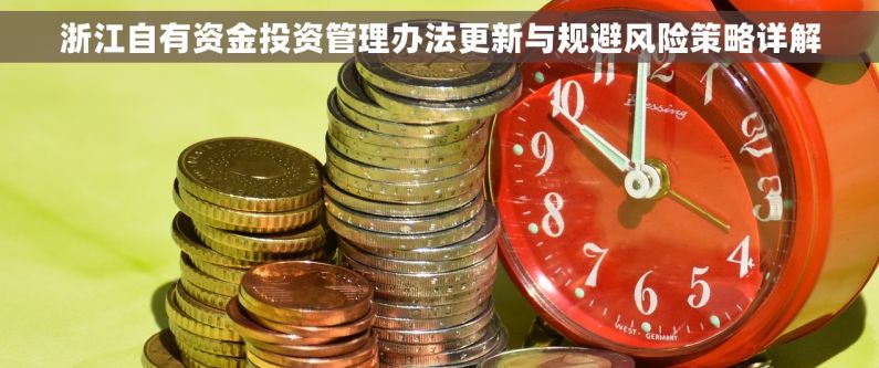 浙江自有资金投资管理办法更新与规避风险策略详解