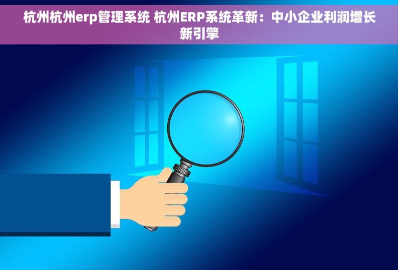 杭州杭州erp管理系统 杭州ERP系统革新：中小企业利润增长新引擎
