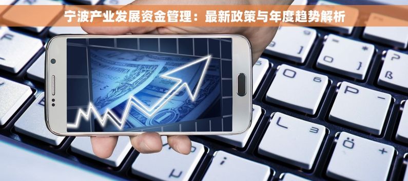 宁波产业发展资金管理：最新政策与年度趋势解析