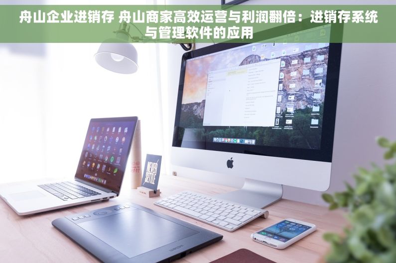 舟山企业进销存 舟山商家高效运营与利润翻倍：进销存系统与管理软件的应用