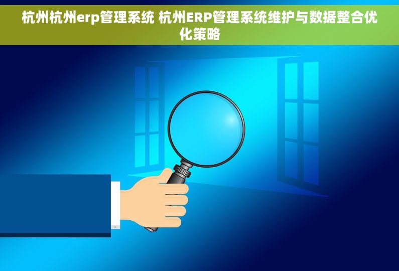 杭州杭州erp管理系统 杭州ERP管理系统维护与数据整合优化策略