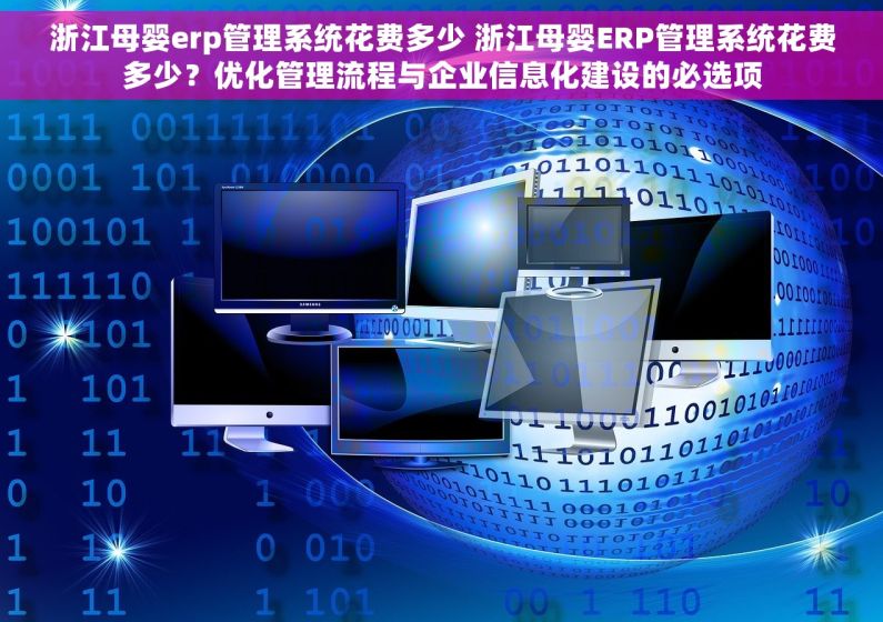 浙江母婴erp管理系统花费多少 浙江母婴ERP管理系统花费多少？优化管理流程与企业信息化建设的必选项