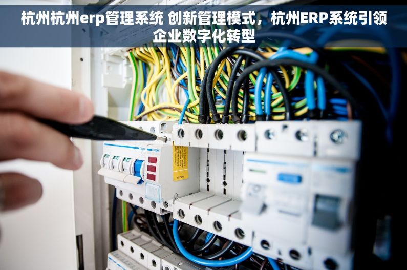 杭州杭州erp管理系统 创新管理模式，杭州ERP系统引领企业数字化转型