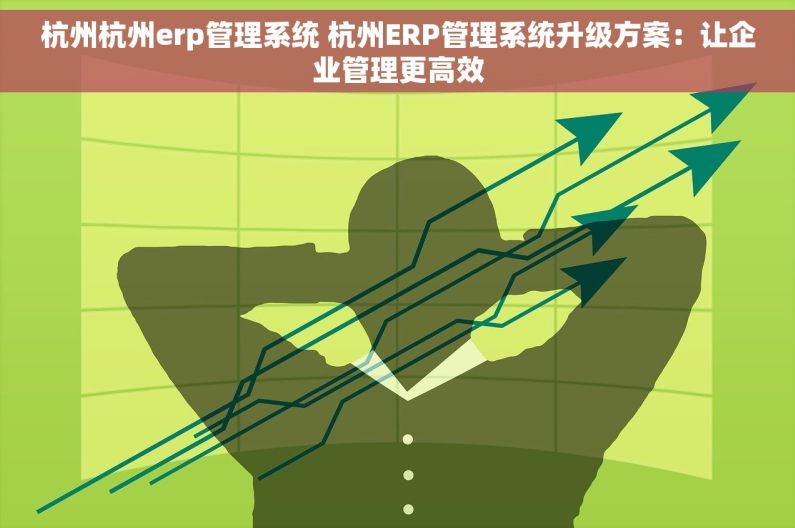杭州杭州erp管理系统 杭州ERP管理系统升级方案：让企业管理更高效