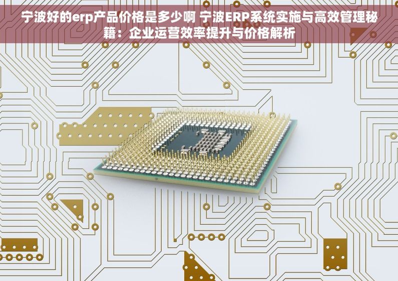 宁波好的erp产品价格是多少啊 宁波ERP系统实施与高效管理秘籍：企业运营效率提升与价格解析