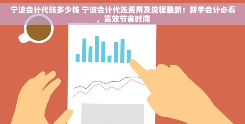 宁波会计代账多少钱 宁波会计代账费用及流程最新：新手会计必看，高效节省时间