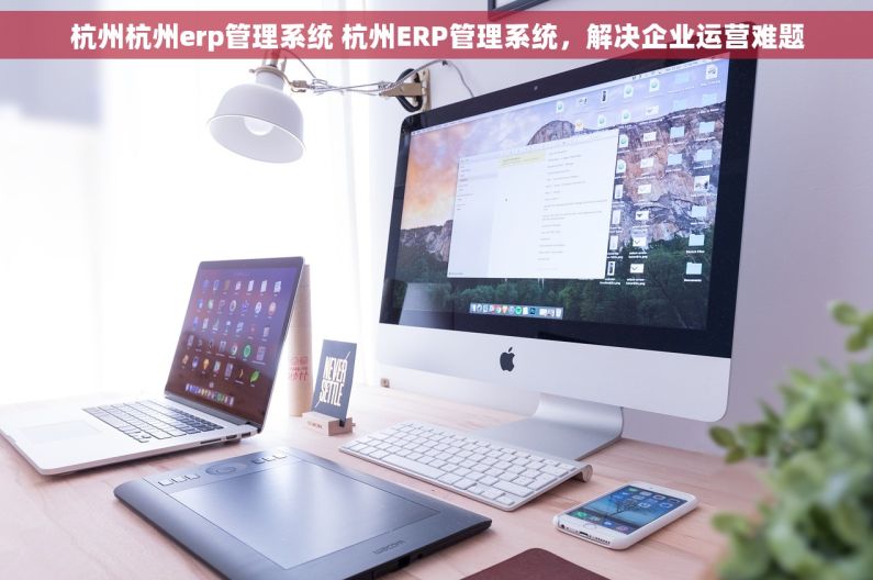 杭州杭州erp管理系统 杭州ERP管理系统，解决企业运营难题
