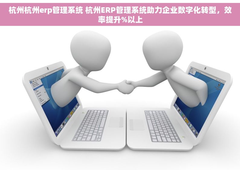 杭州杭州erp管理系统 杭州ERP管理系统助力企业数字化转型，效率提升%以上