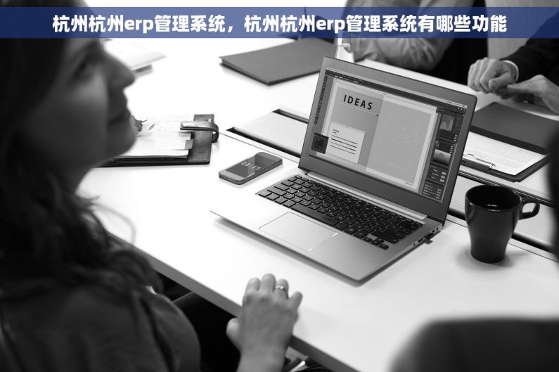 杭州杭州erp管理系统，杭州杭州erp管理系统有哪些功能