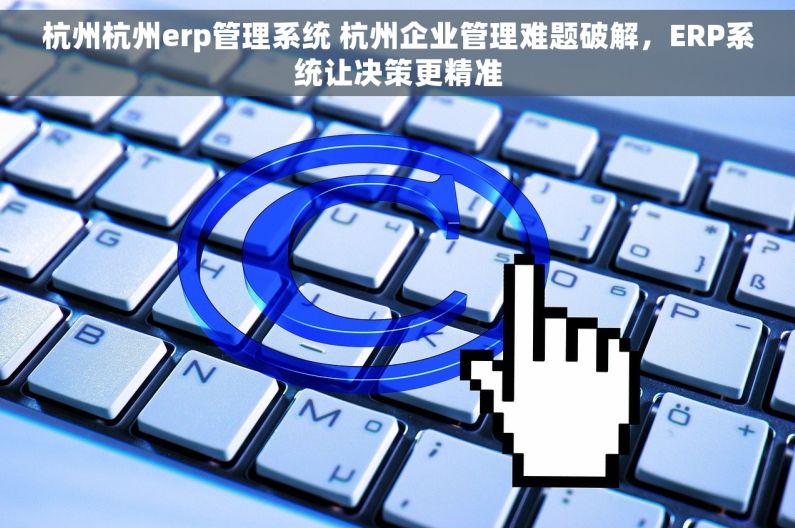 杭州杭州erp管理系统 杭州企业管理难题破解，ERP系统让决策更精准