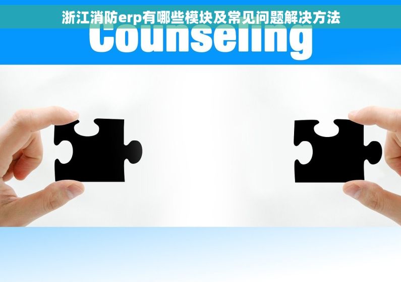 浙江消防erp有哪些模块及常见问题解决方法