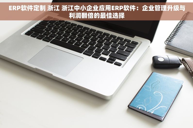 ERP软件定制 浙江 浙江中小企业应用ERP软件：企业管理升级与利润翻倍的最佳选择