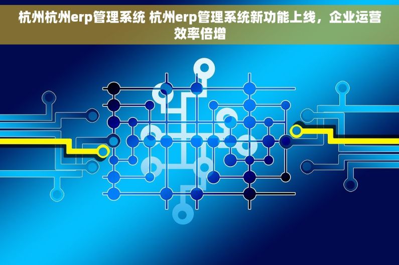 杭州杭州erp管理系统 杭州erp管理系统新功能上线，企业运营效率倍增