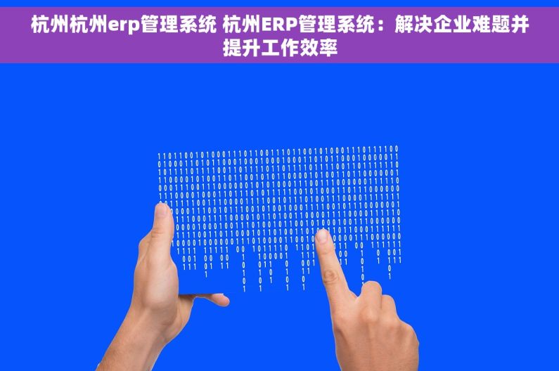 杭州杭州erp管理系统 杭州ERP管理系统：解决企业难题并提升工作效率