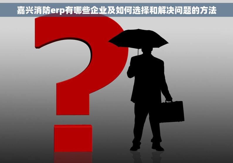 嘉兴消防erp有哪些企业及如何选择和解决问题的方法