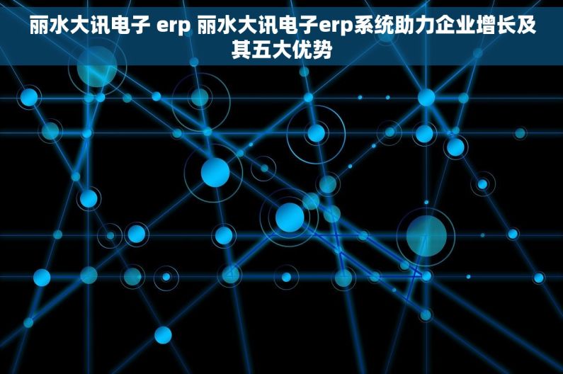 丽水大讯电子 erp 丽水大讯电子erp系统助力企业增长及其五大优势